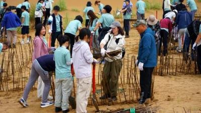 草方格實踐現場